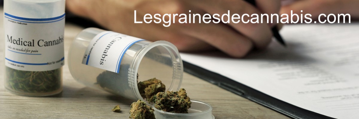 lesgrainesdecannabis.com